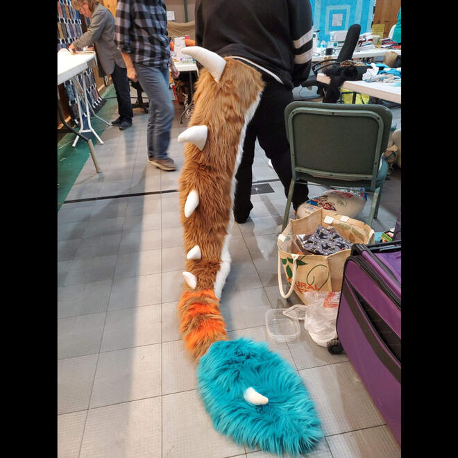 Boyd tail